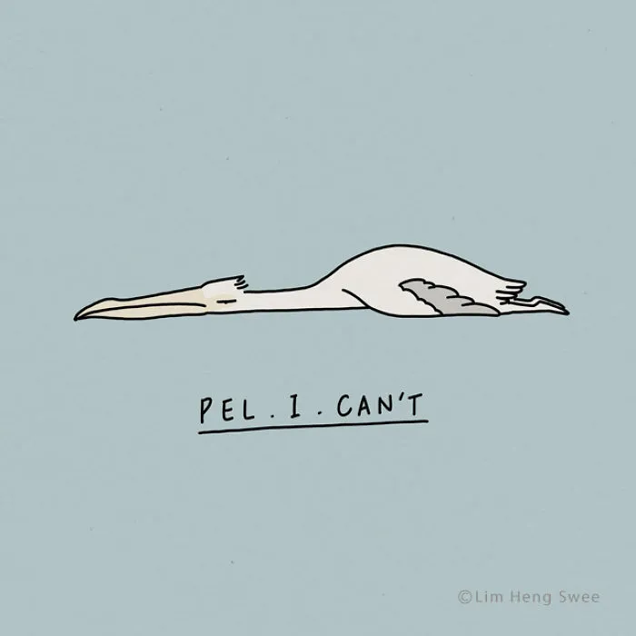 Pelican