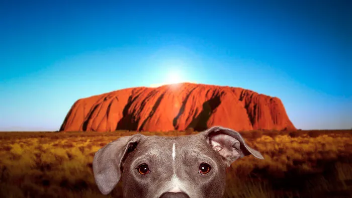 Australia