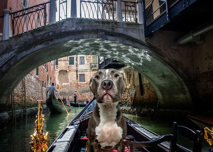 Italy