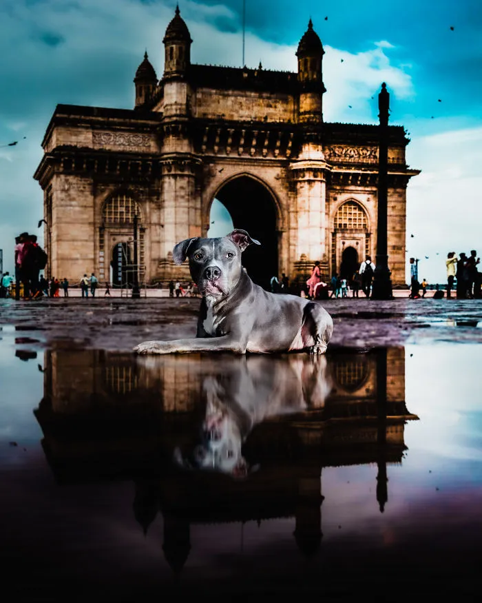 India