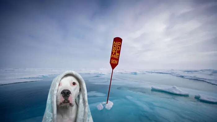 The North Pole