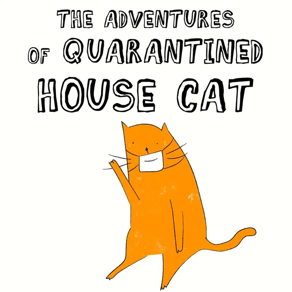 Quarantined House Cat