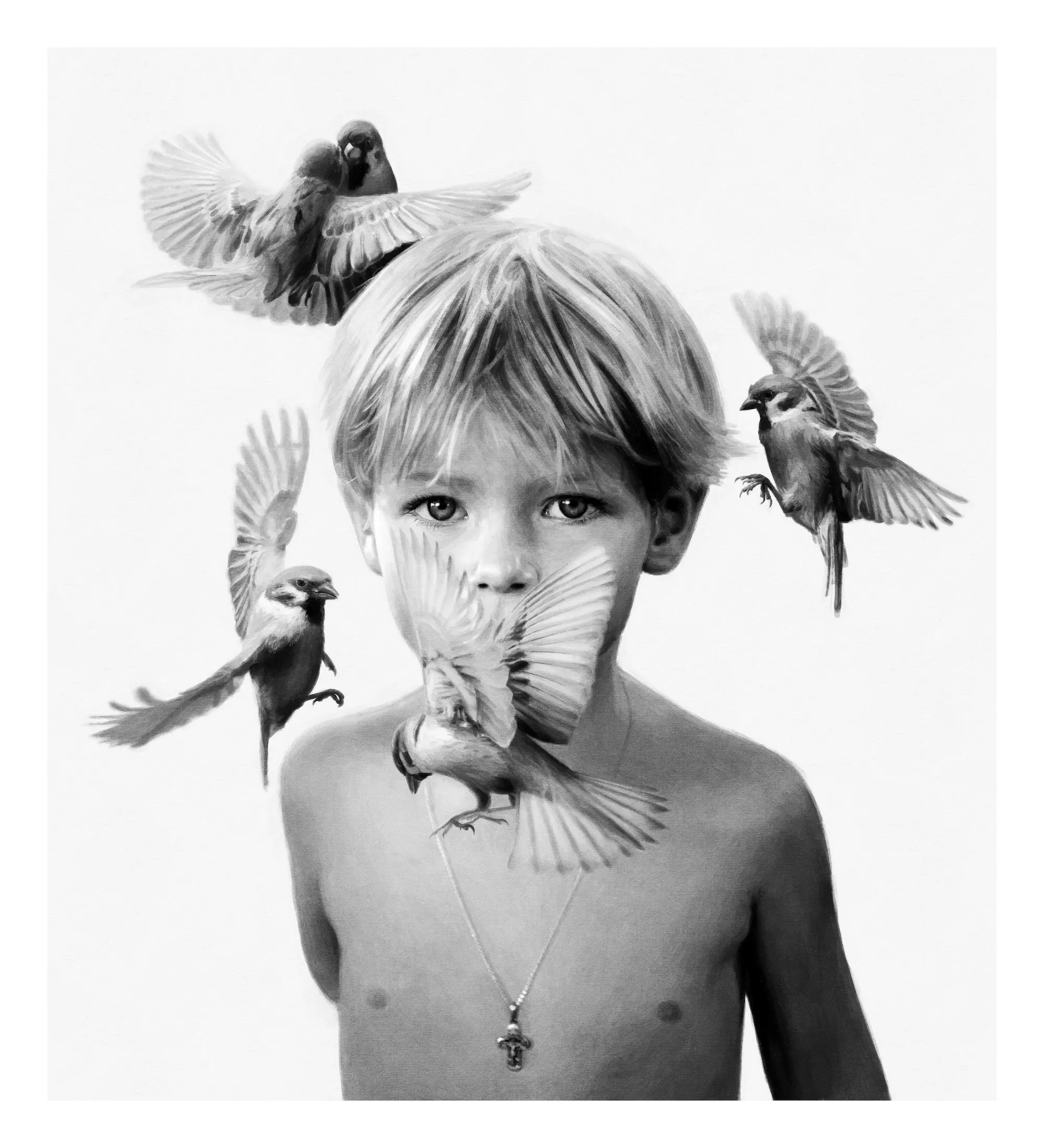 The Boy And The Sparrows