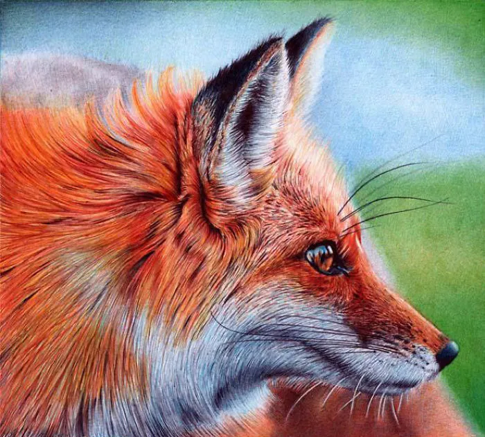 61 Ballpoint Pen Drawings By Samuel Silva
