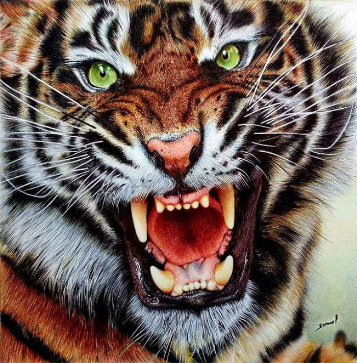 61 Ballpoint Pen Drawings By Samuel Silva