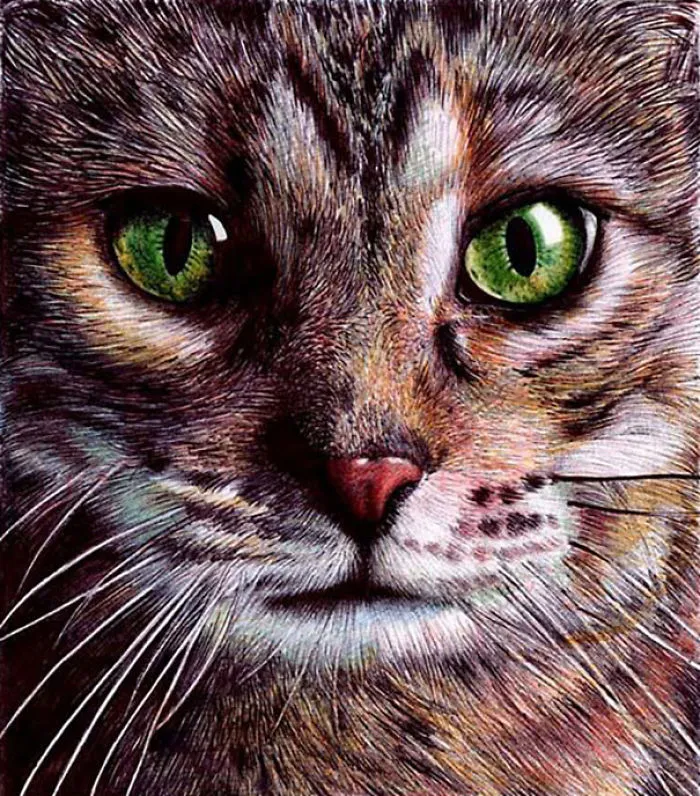 61 Ballpoint Pen Drawings By Samuel Silva
