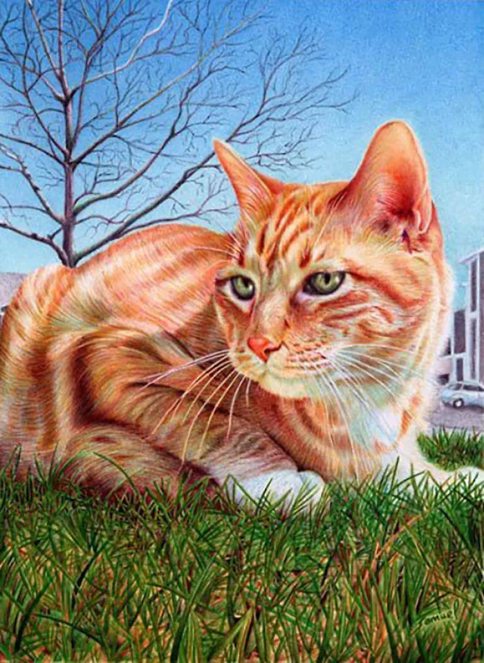 61 Ballpoint Pen Drawings By Samuel Silva