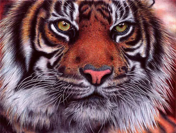 61 Ballpoint Pen Drawings By Samuel Silva