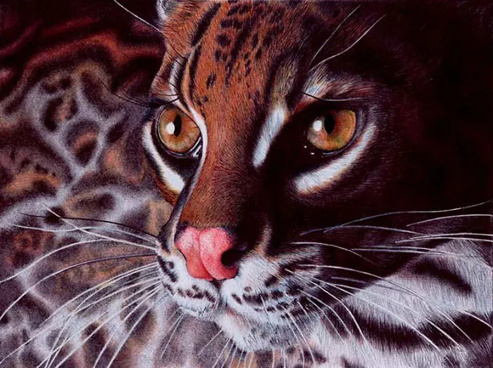 61 Ballpoint Pen Drawings By Samuel Silva