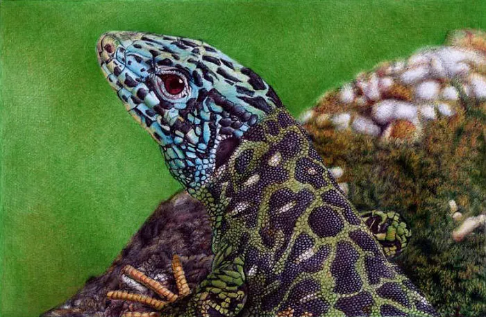 61 Ballpoint Pen Drawings By Samuel Silva