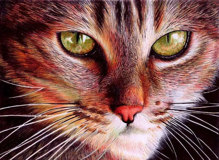 61 Ballpoint Pen Drawings By Samuel Silva