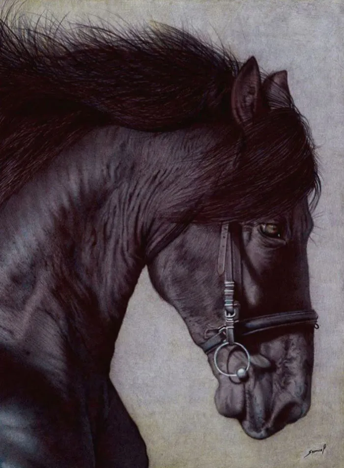 61 Ballpoint Pen Drawings By Samuel Silva