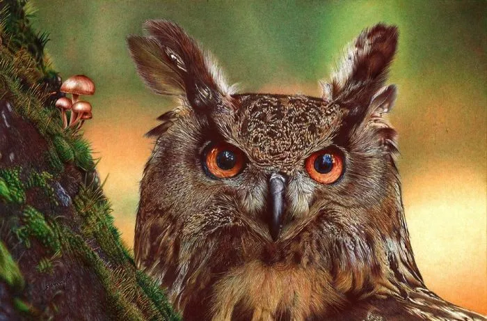 61 Ballpoint Pen Drawings By Samuel Silva