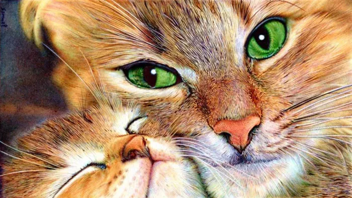 61 Ballpoint Pen Drawings By Samuel Silva