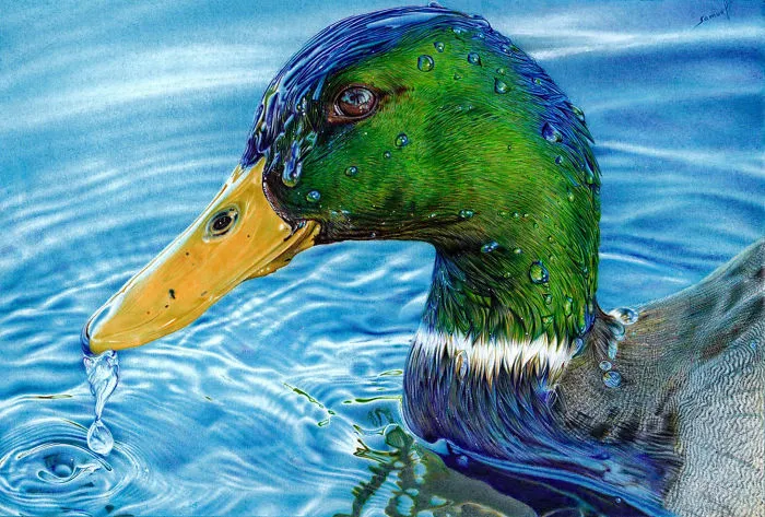 61 Ballpoint Pen Drawings By Samuel Silva