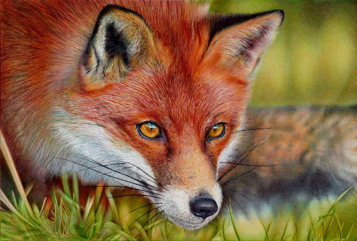 61 Ballpoint Pen Drawings By Samuel Silva