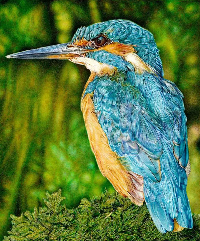 61 Ballpoint Pen Drawings By Samuel Silva