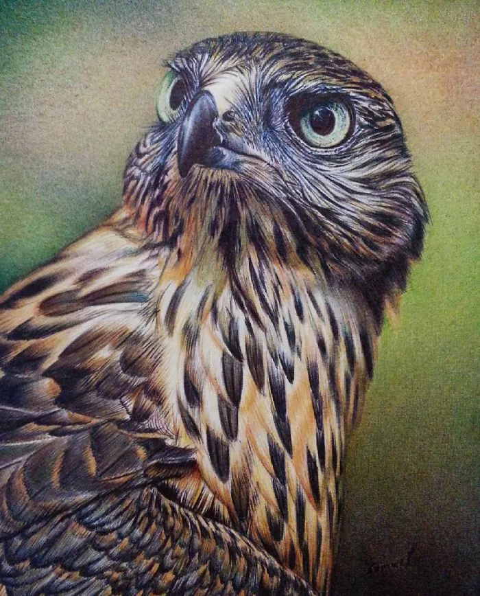 61 Ballpoint Pen Drawings By Samuel Silva