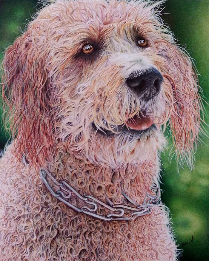 61 Ballpoint Pen Drawings By Samuel Silva