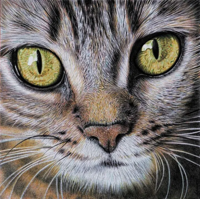 61 Ballpoint Pen Drawings By Samuel Silva