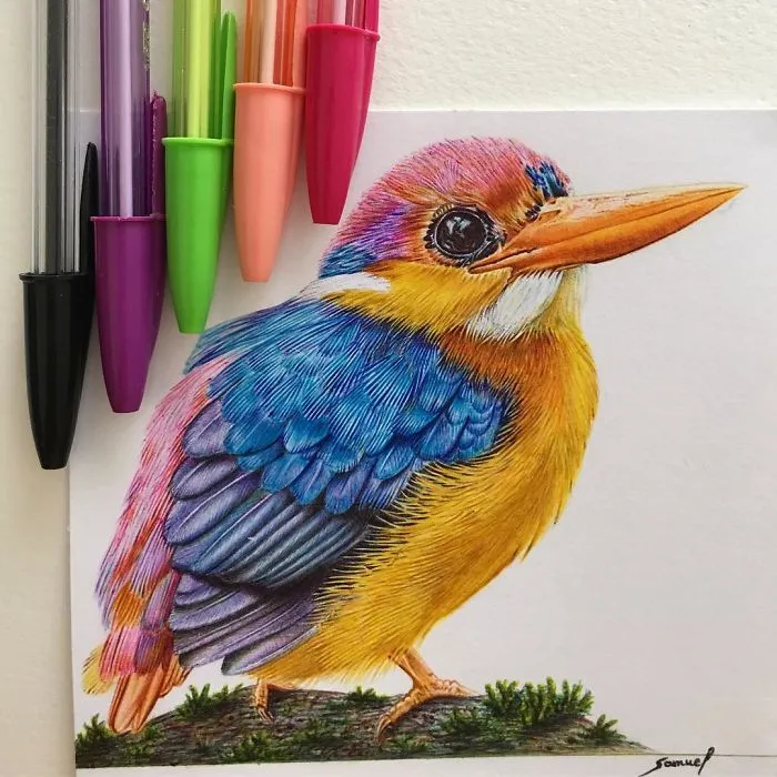 61 Ballpoint Pen Drawings By Samuel Silva