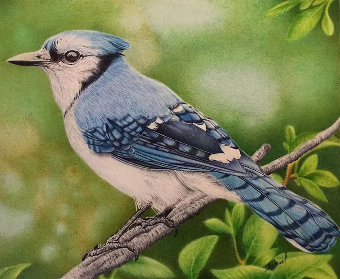 61 Ballpoint Pen Drawings By Samuel Silva