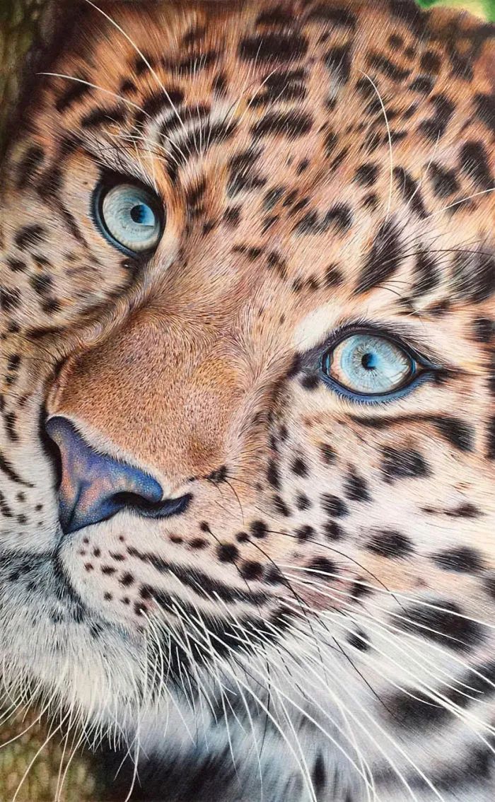 61 Ballpoint Pen Drawings By Samuel Silva