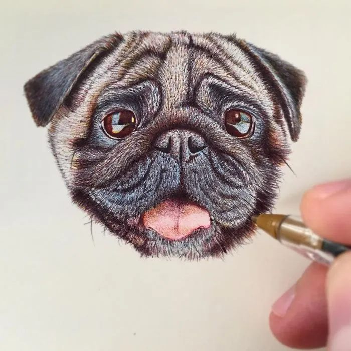 61 Ballpoint Pen Drawings By Samuel Silva