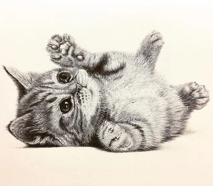 61 Ballpoint Pen Drawings By Samuel Silva
