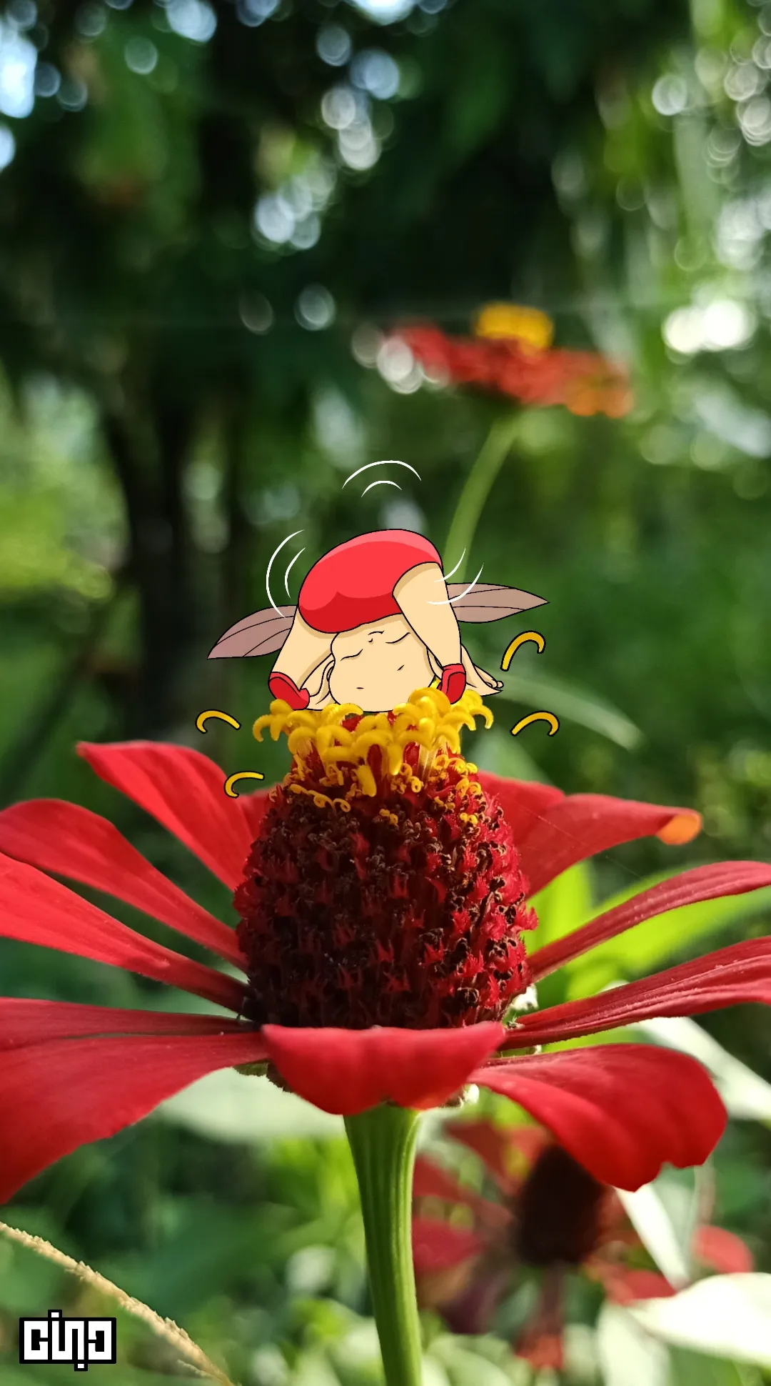 I Drew Baby Elves And Pixies Based On The Plants Found In Our Backyard