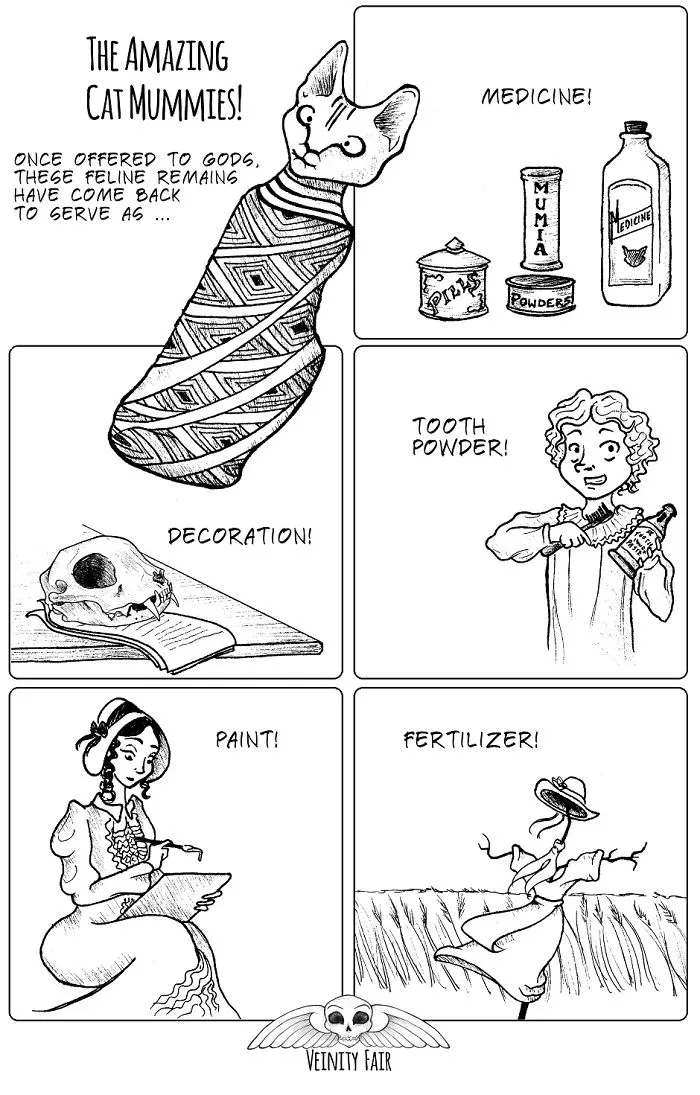 Amazing Cat Mummies!
