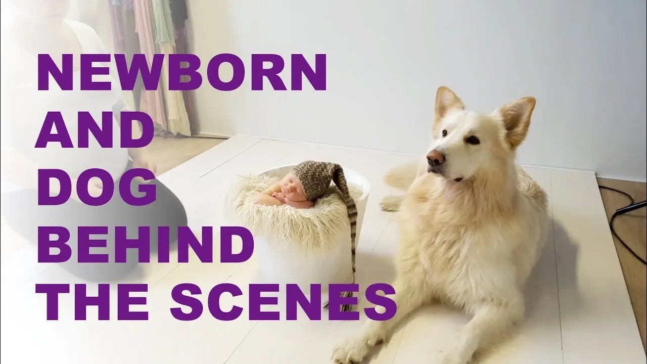 Newborn And Dog Photoshoot Backstage Footage