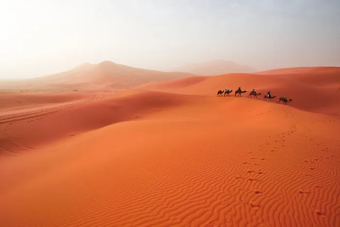 I Captured The Wild Beauty Of Morocco (26 Pics)