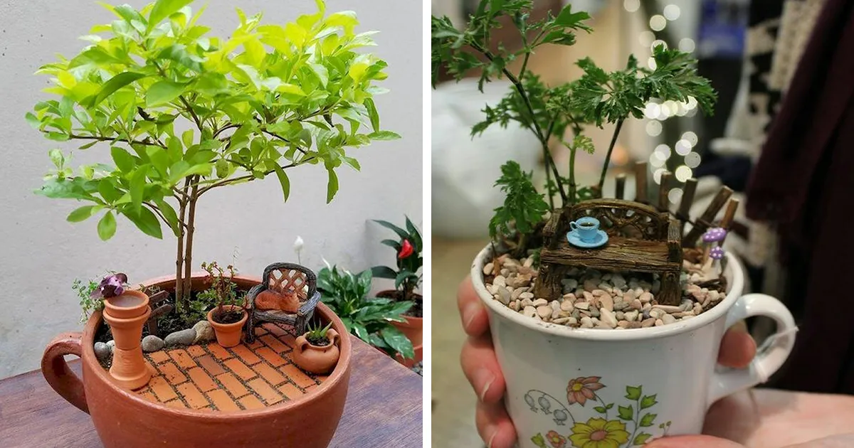 Parece que los minijardines en tazas de té están de moda, y aquí tienes 23 adorables ejemplos
