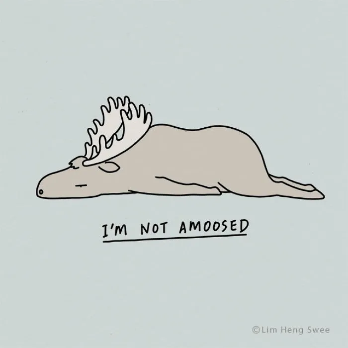 Moose