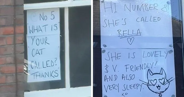 People Under Lockdown Are Using Window Signs To Talk To Their Neighbors About Their Cats, And It's Too Pure
