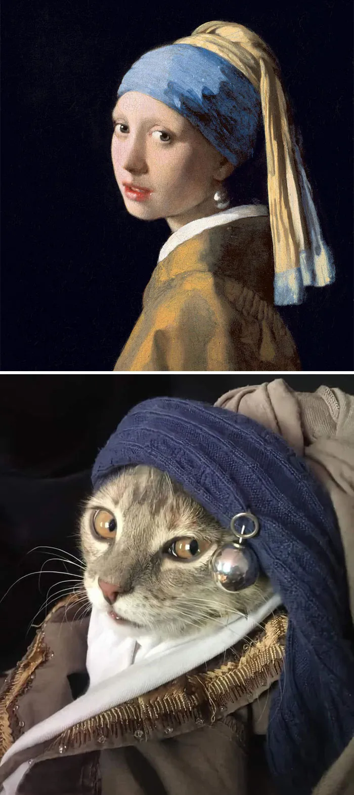 La gata de la perla