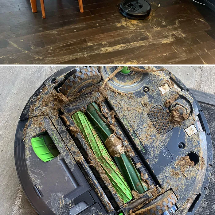 El perro tuvo un desliz y la roomba lo encontró