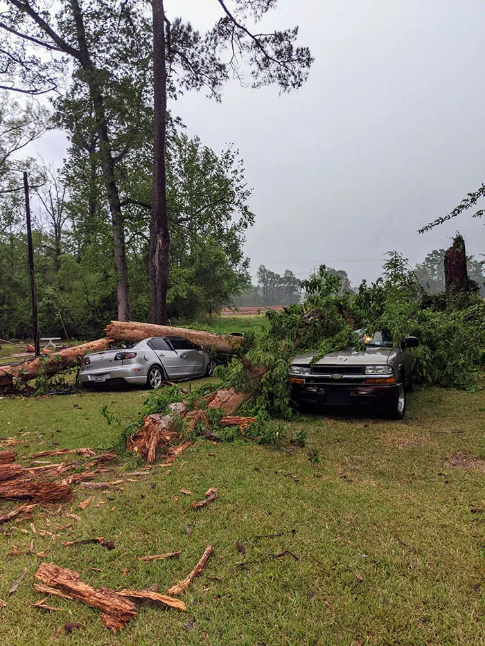 As If COVID-19 And Losing Our Jobs Weren't Bad Enough, We Just Lost Both Cars To A Tree