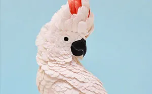 Artist Uses Paper To Recreate Bird Species All Around The World (30 Pics)