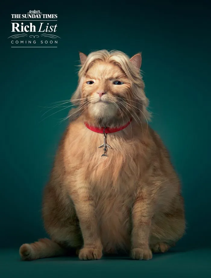 My 51 Favorite Print Ads That Use Cats In A Purrfect Way