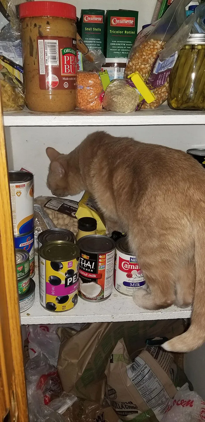 In The Cupboard