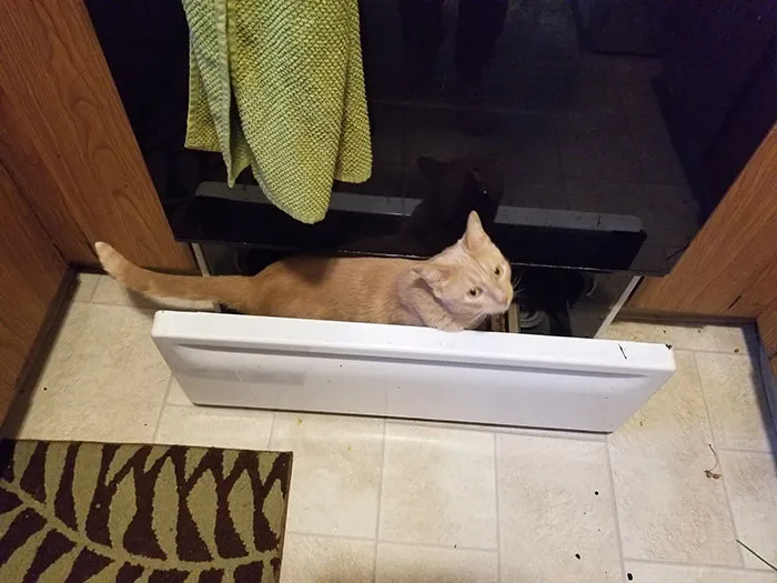 Under The Stove