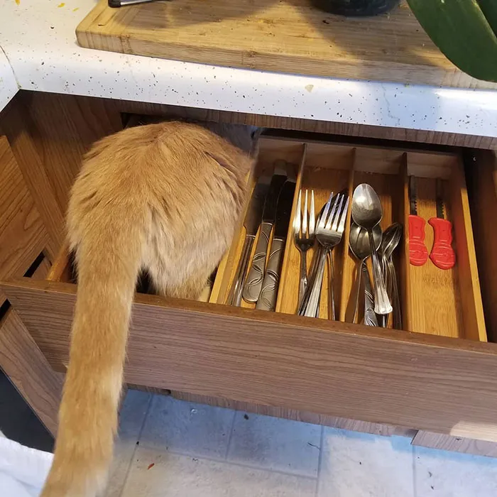 In The Silverware Drawer