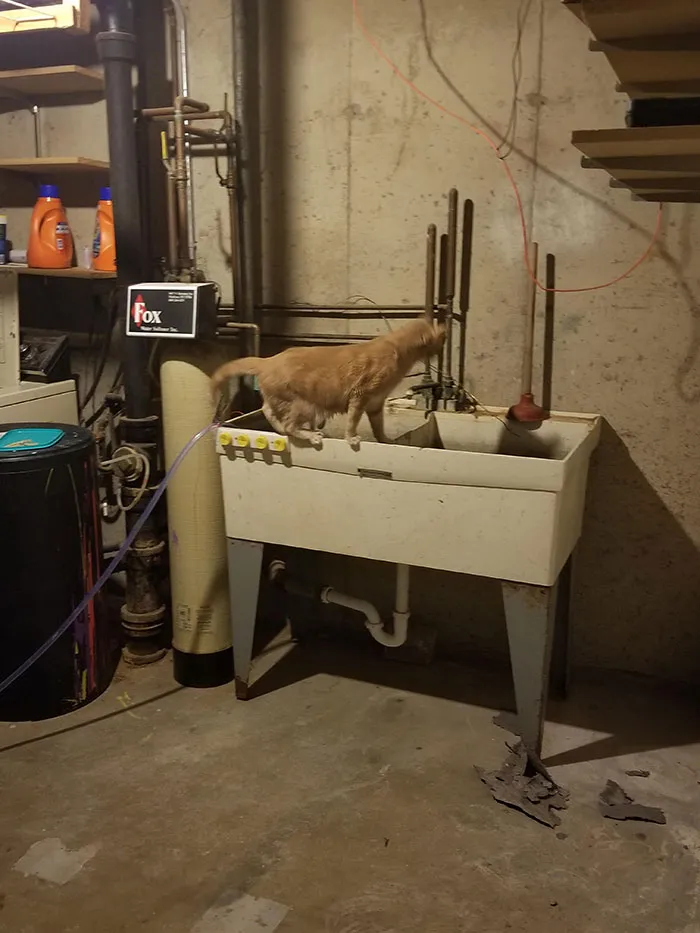 On The Washer Sink