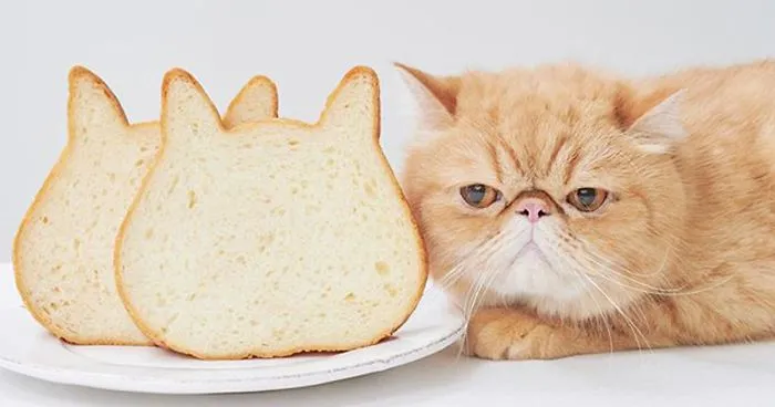 Japanese Bakery Makes Cat-Shaped Breads And They're Just Too Adorable
