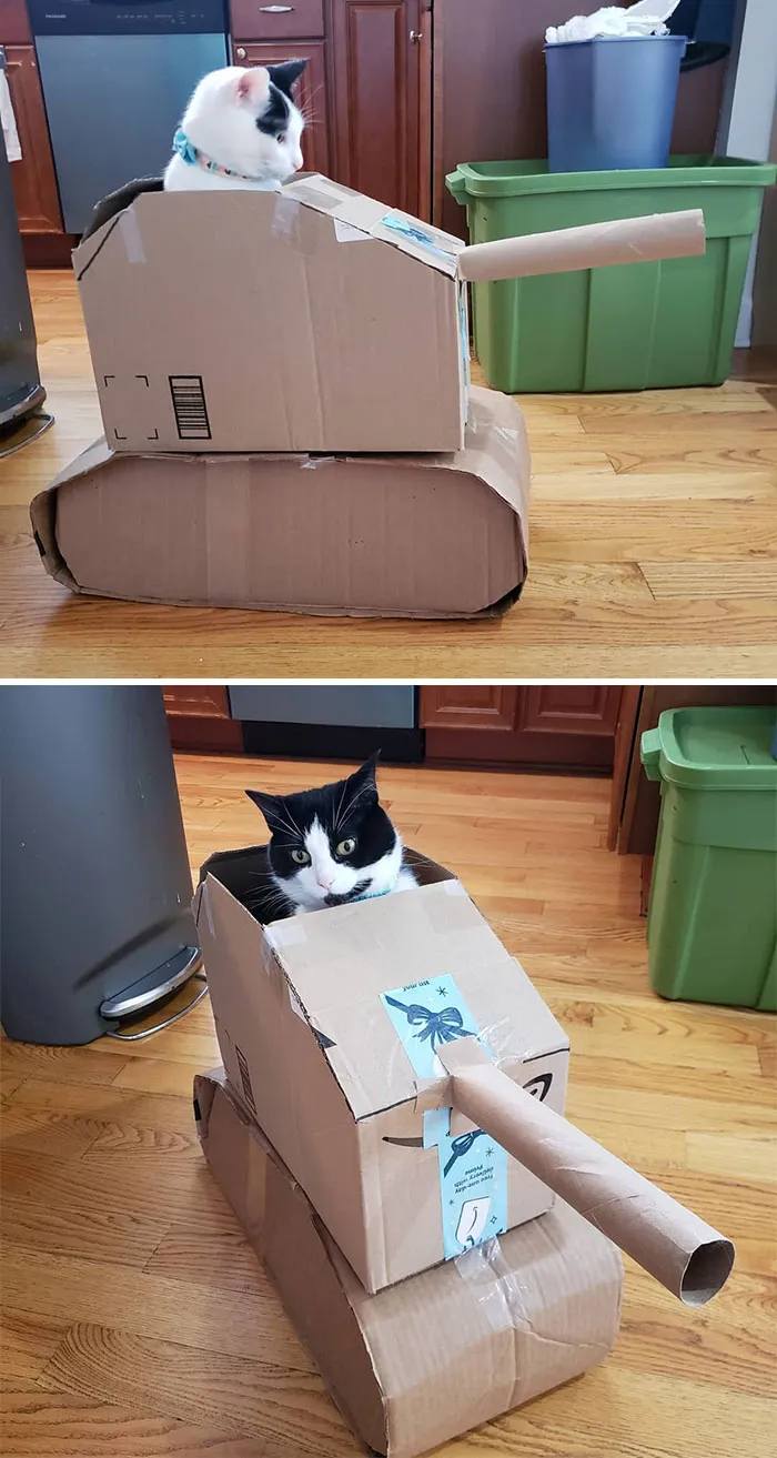 People Are So Bored During Quarantine That They’re Building Cardboard Tanks For Their Cats (30 Pics)