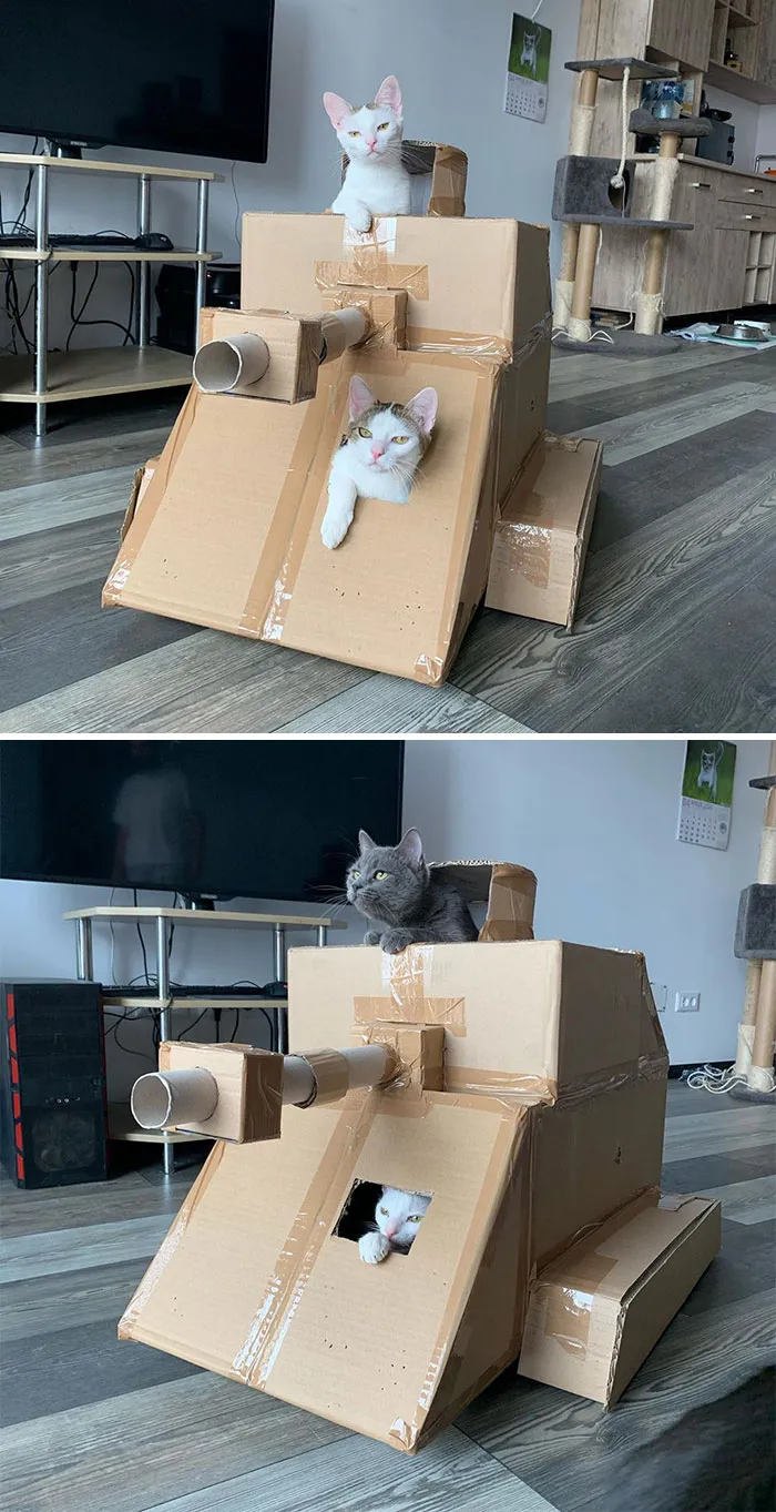 People Are So Bored During Quarantine That They’re Building Cardboard Tanks For Their Cats (30 Pics)