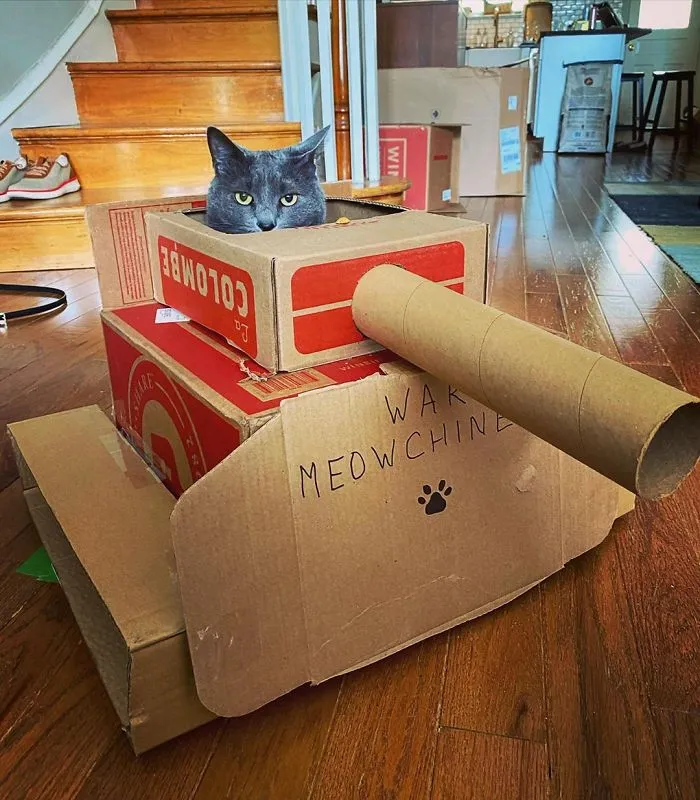 People Are So Bored During Quarantine That They’re Building Cardboard Tanks For Their Cats (30 Pics)