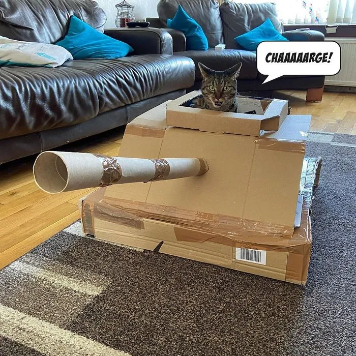 People Are So Bored During Quarantine That They’re Building Cardboard Tanks For Their Cats (30 Pics)